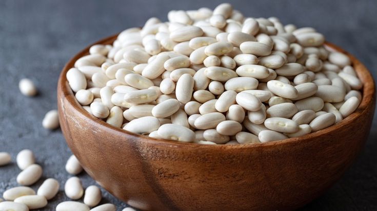 HACCP Certified Bulk Iranian Navy Beans for HORECA Sector Food Service Providers; Competitive Pricing & Long-Term Partnership